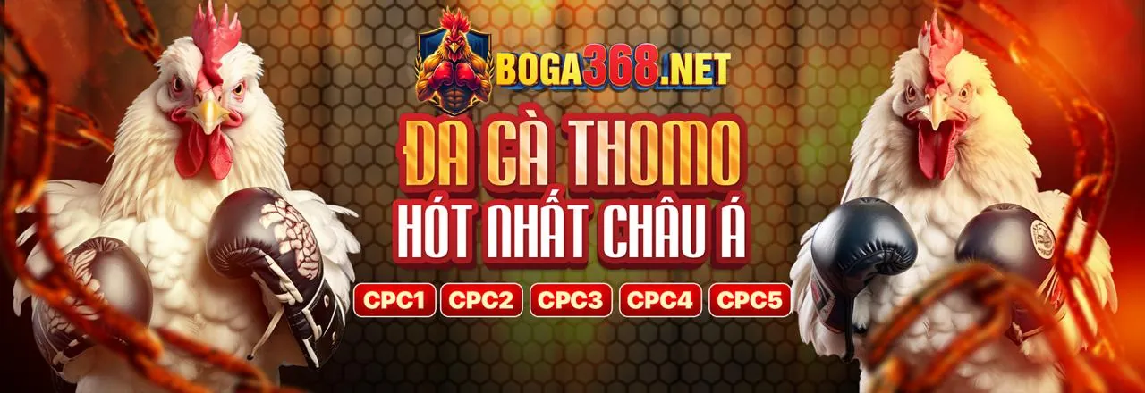 Minh họa nạp rút tiền thomo999 win